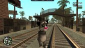 Talking Tom Skin Packs